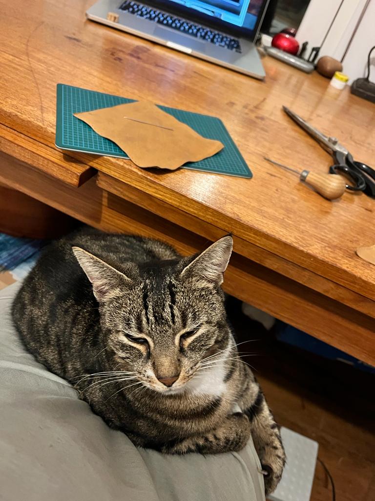 0119c937 45bd-45d5-992f-3b392b79ab15