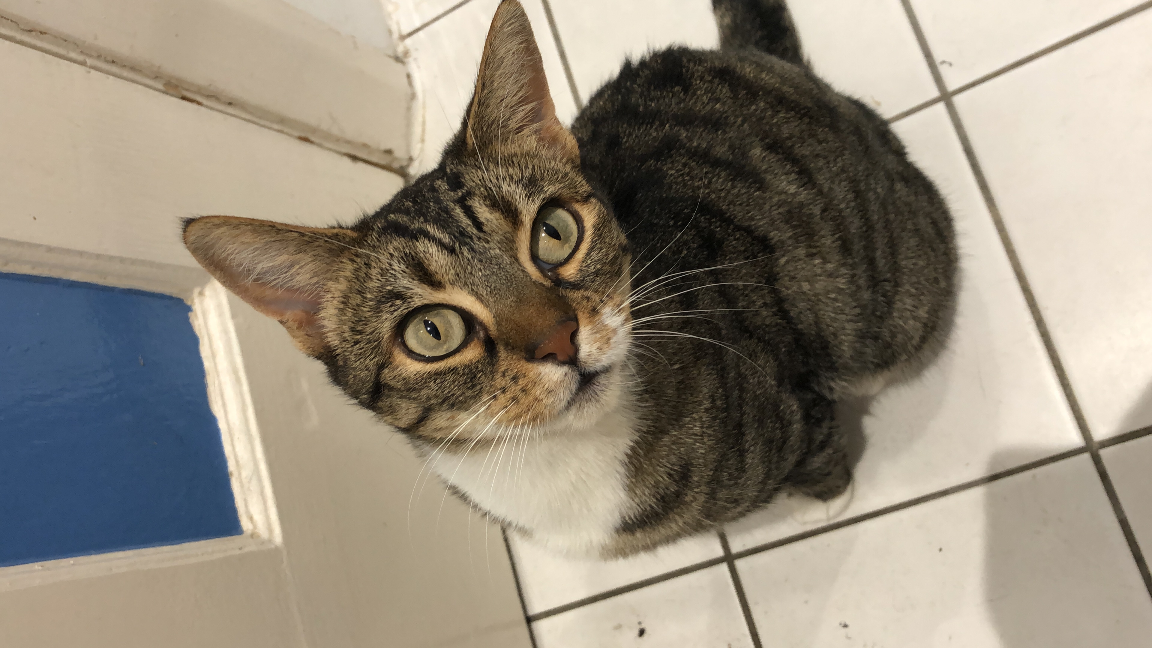 3EE0331F 7B28-4321-96EE-D3DBD0DC51C9.jpeg