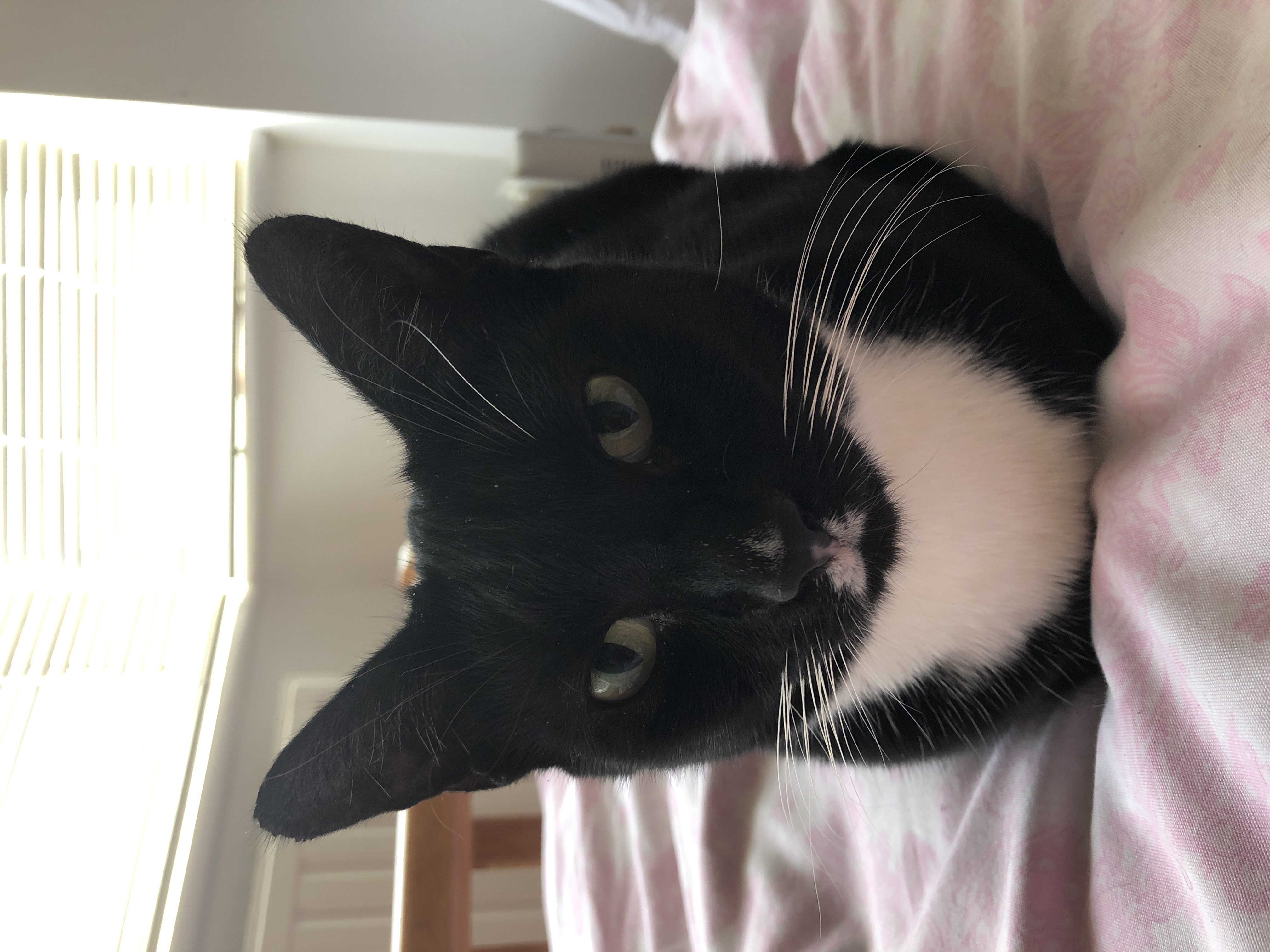 60940603742__52988D47 C7B7-47DB-B770-AD8E68E6A083.JPG