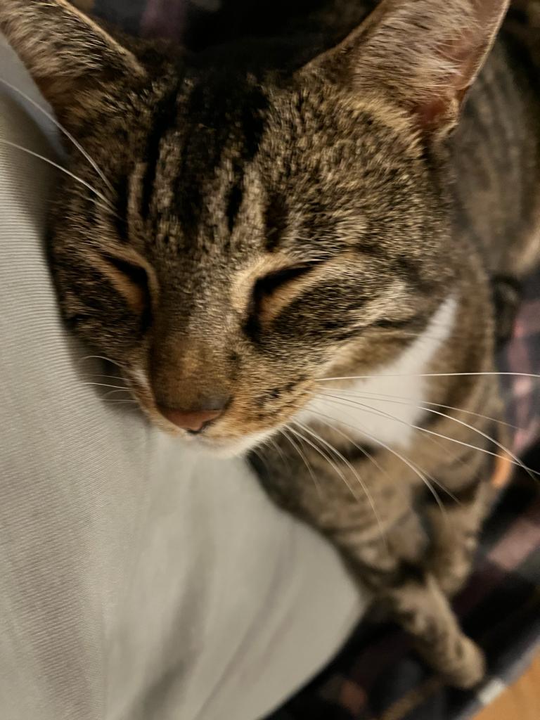 7888bbba e38f-4201-bb3c-0c27cf9585e8