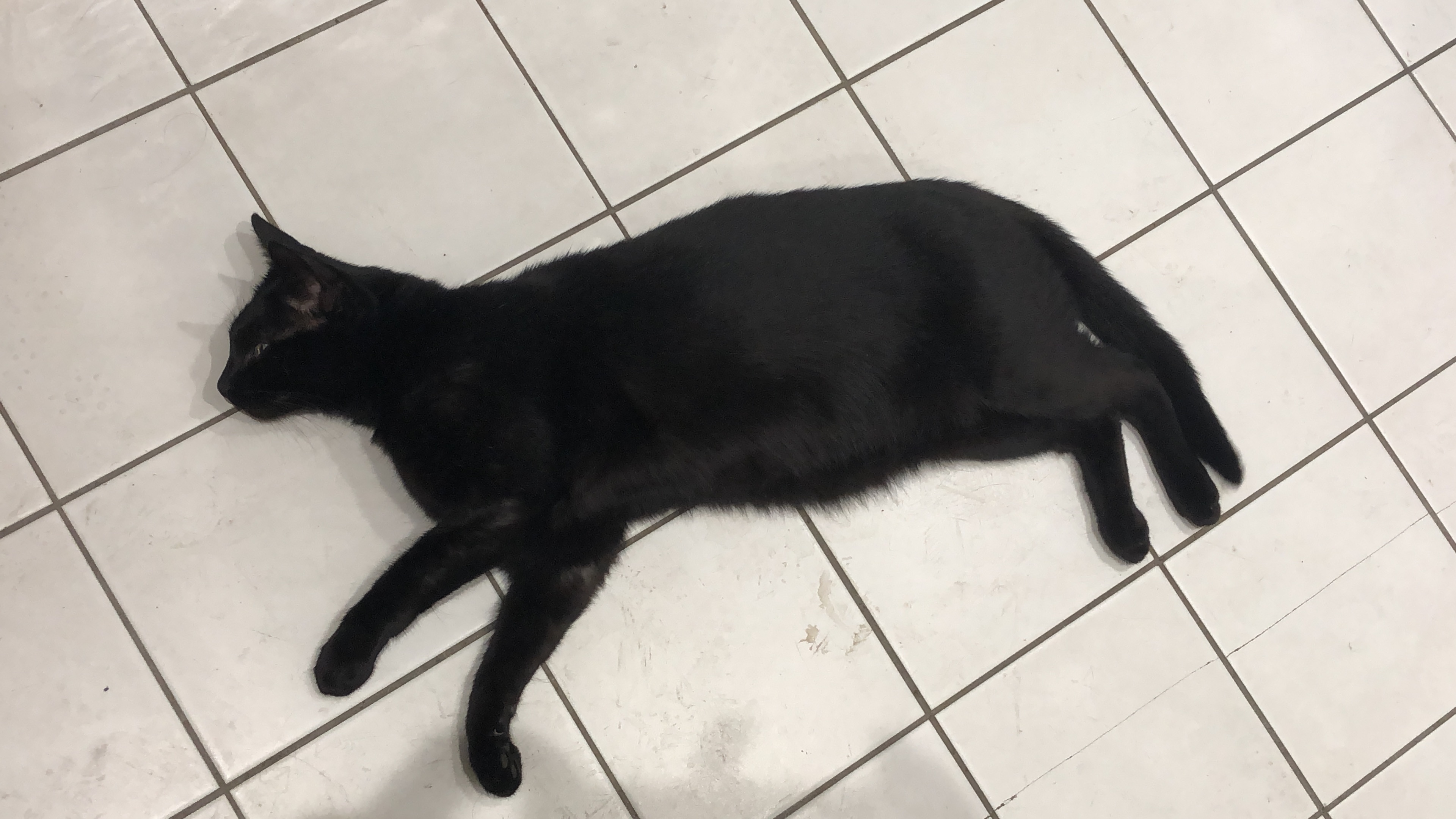 B4EA93F4 6284-448C-847B-4DFFA6EF6F8C.jpeg