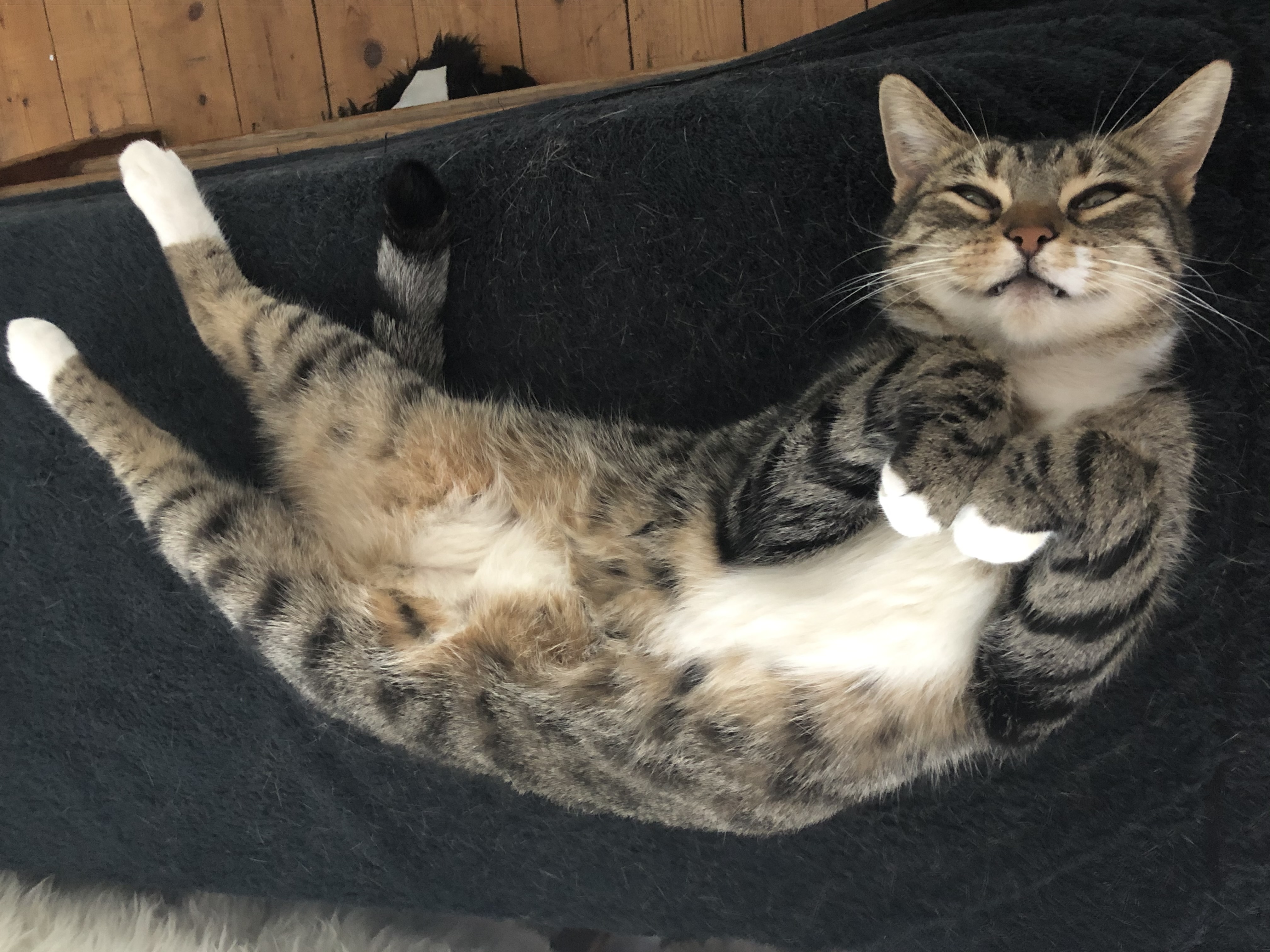 placeholder image-sq